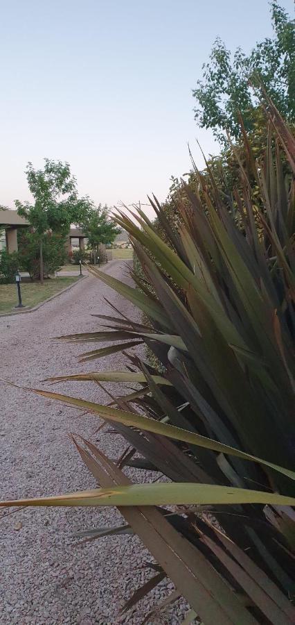 Bed and Breakfast Alto San Andres San Andres de las Sierras Екстер'єр фото